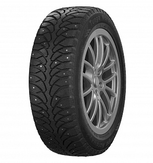 Шина Tunga Nordway 2 PW-5 205/55 R16 94Q