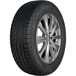 Шина Ikon Nordman S2 SUV 255/55 R18 109V XL