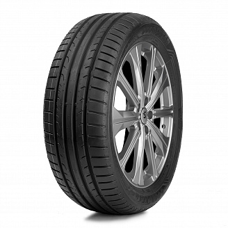 Шина GoodYear Eagle Sport 2 205/55 R16 91V